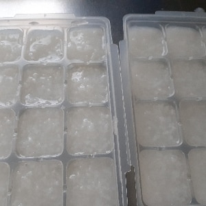 離乳食 10倍粥炊飯器レシピ 冷凍から解凍 レシピ 作り方 By Bella 楽天レシピ 離乳食 10倍粥炊飯器レシピ 冷凍から解凍 レシピ 作り方 By Bella 楽天レシピ